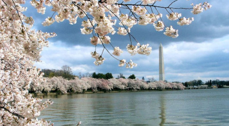 Weekend Reading: April 11