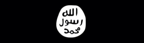 Jihadi reactions to the self-proclaimed "Caliphate"