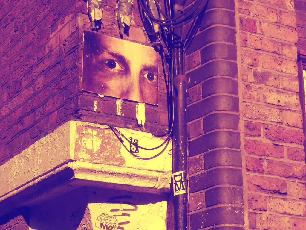 Public Views of Intelligence Collection: The Implications for International Politics