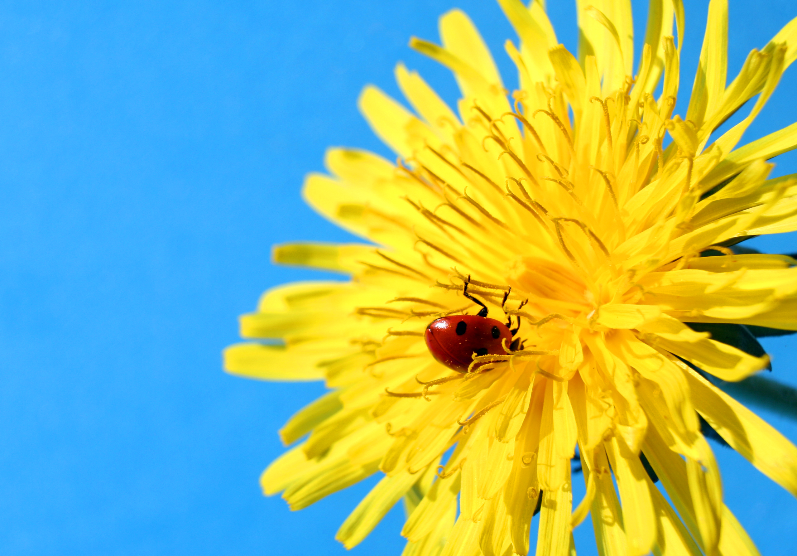 Weekend Reading, August 23