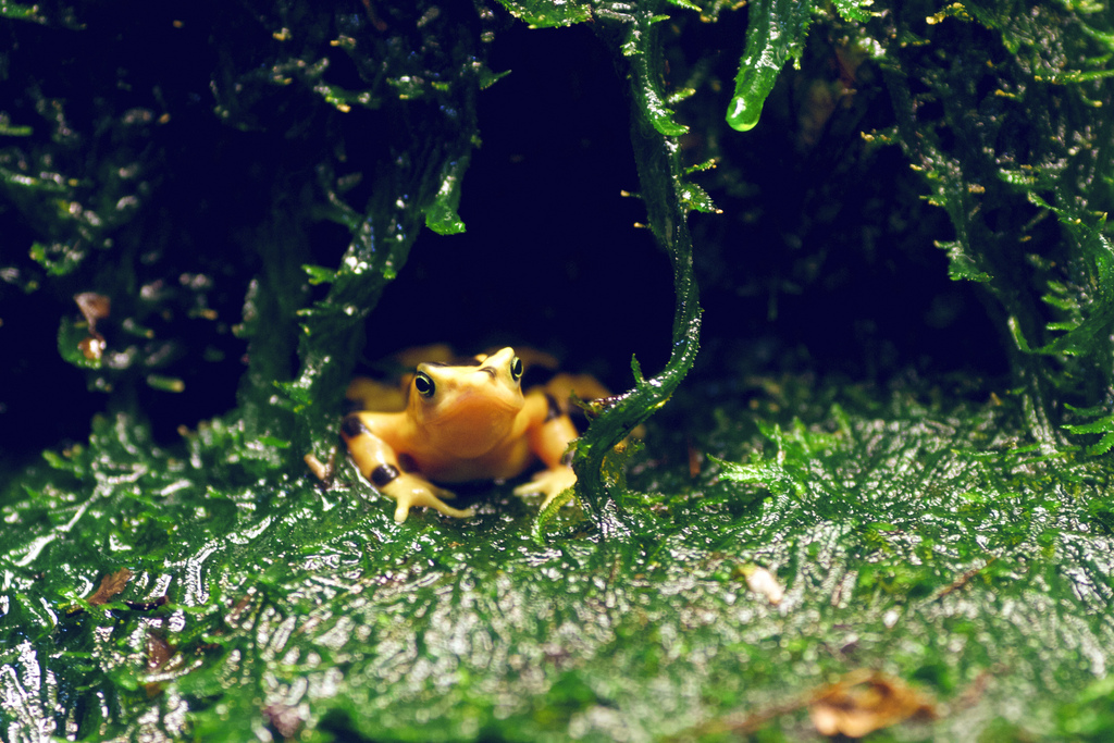 Weekend Reading: August 2