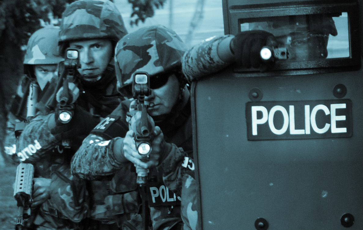 Adventures in the Search for Domestic Terrorists