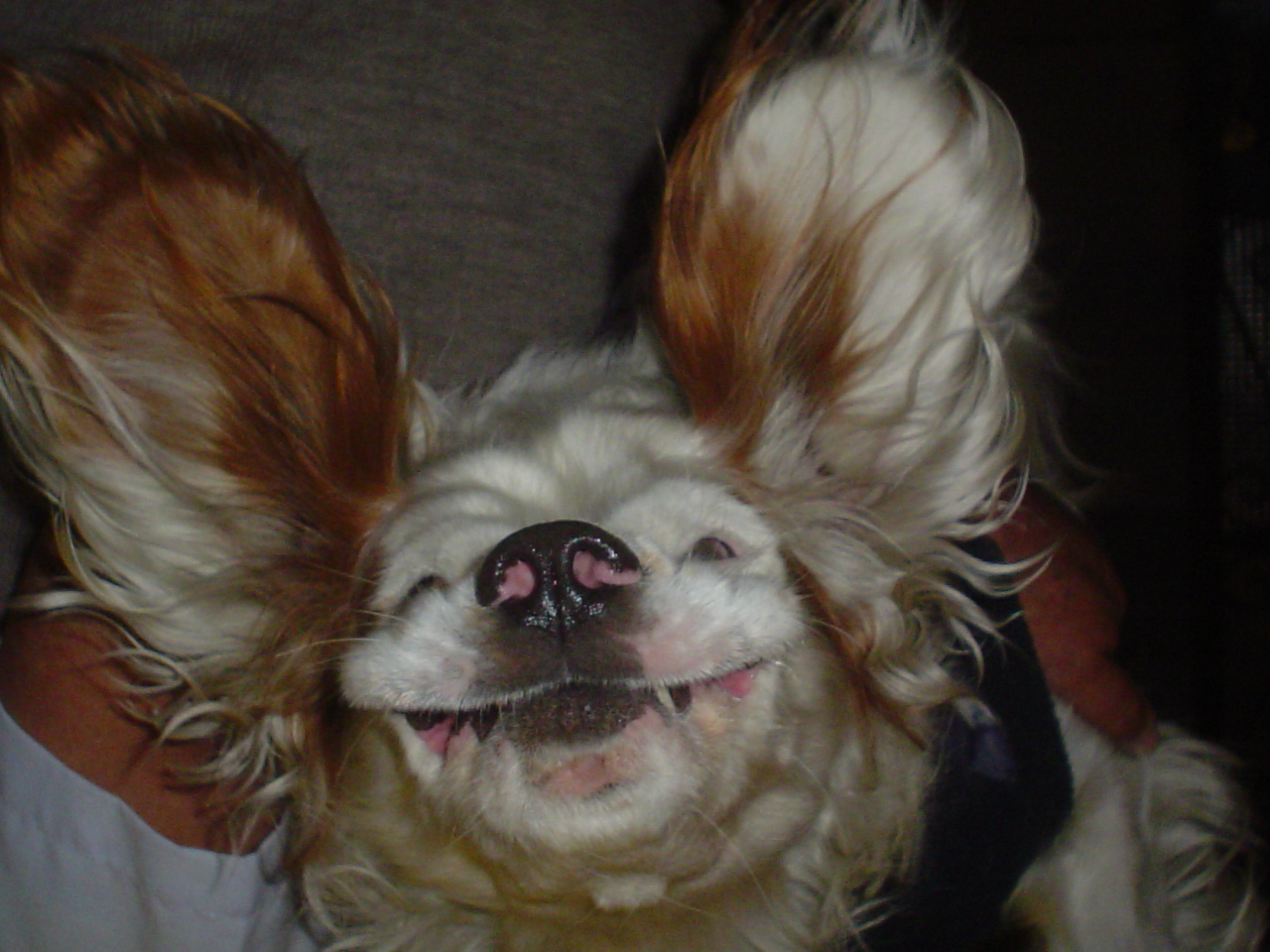 Weekend Reading: 25-27 October