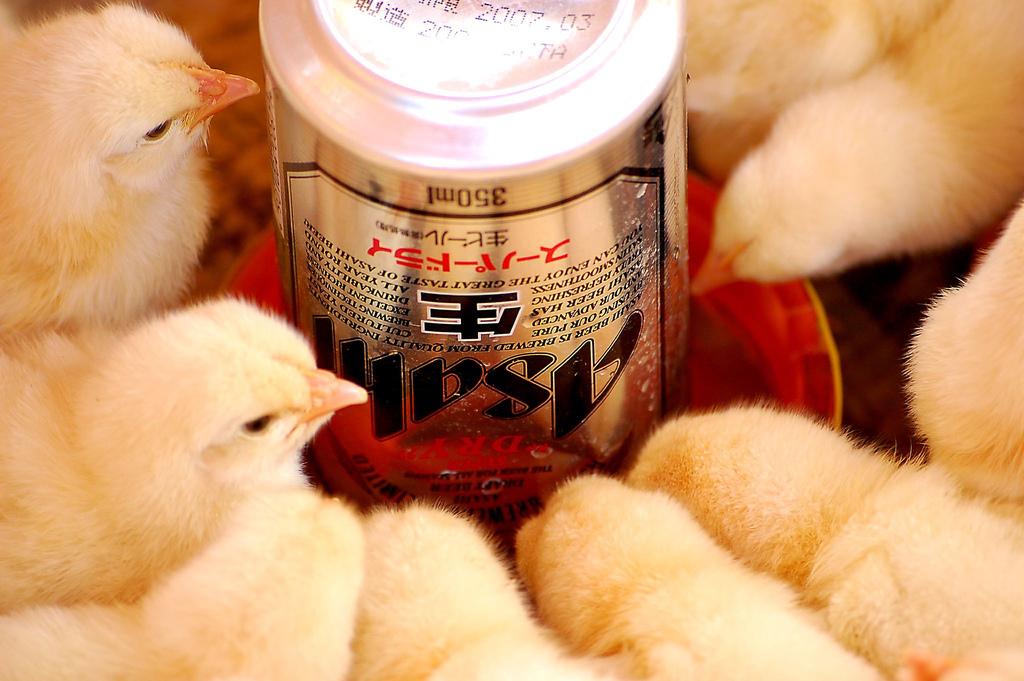 Weekend Reading, November 22-24