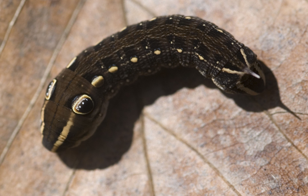 Weekend Reading, Dec 6 – 8