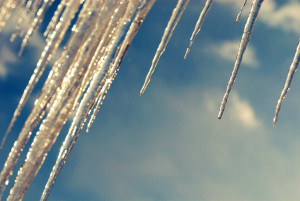 Weekend Reading: January 10