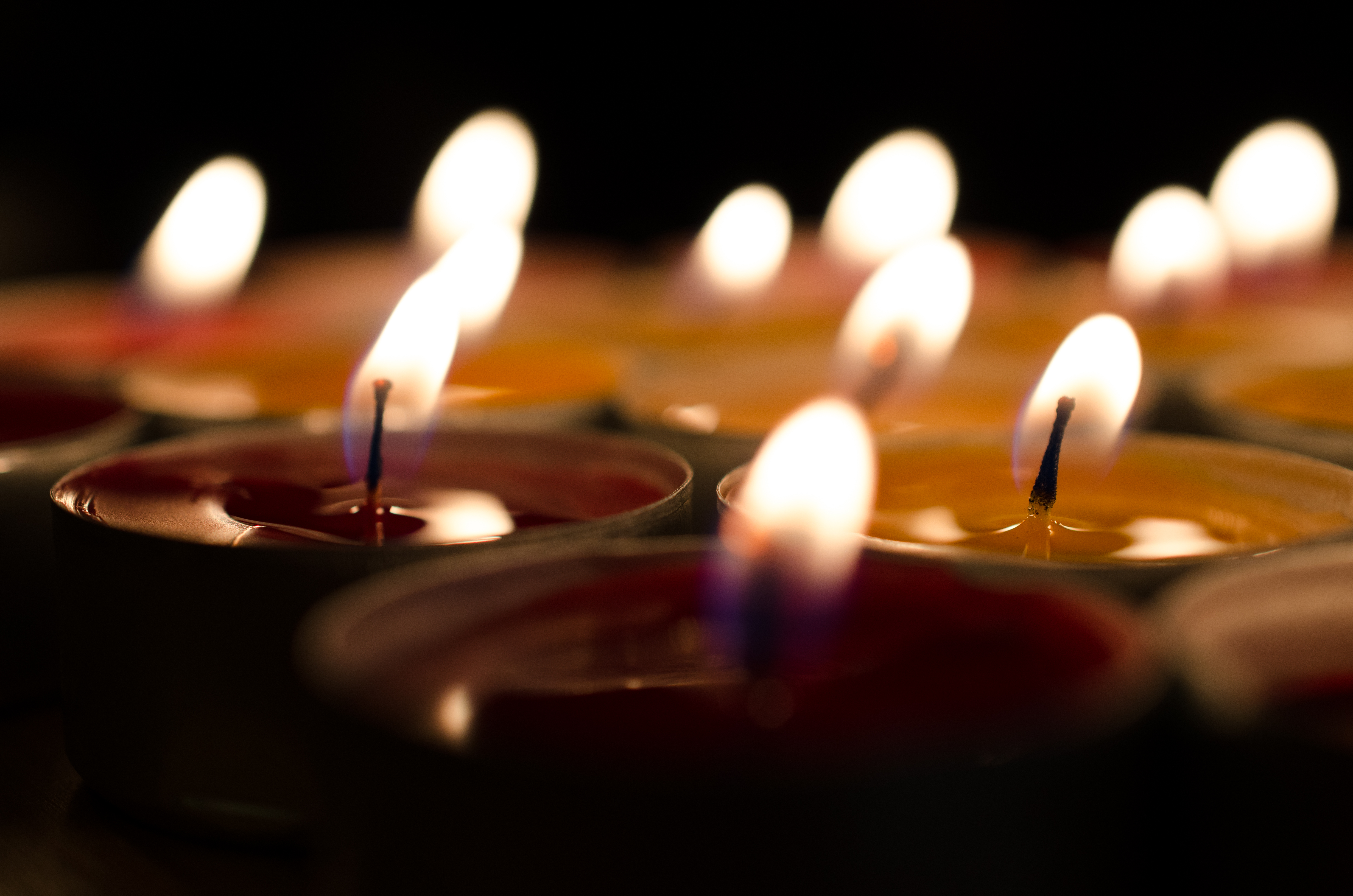 Weekend Reading: February 7