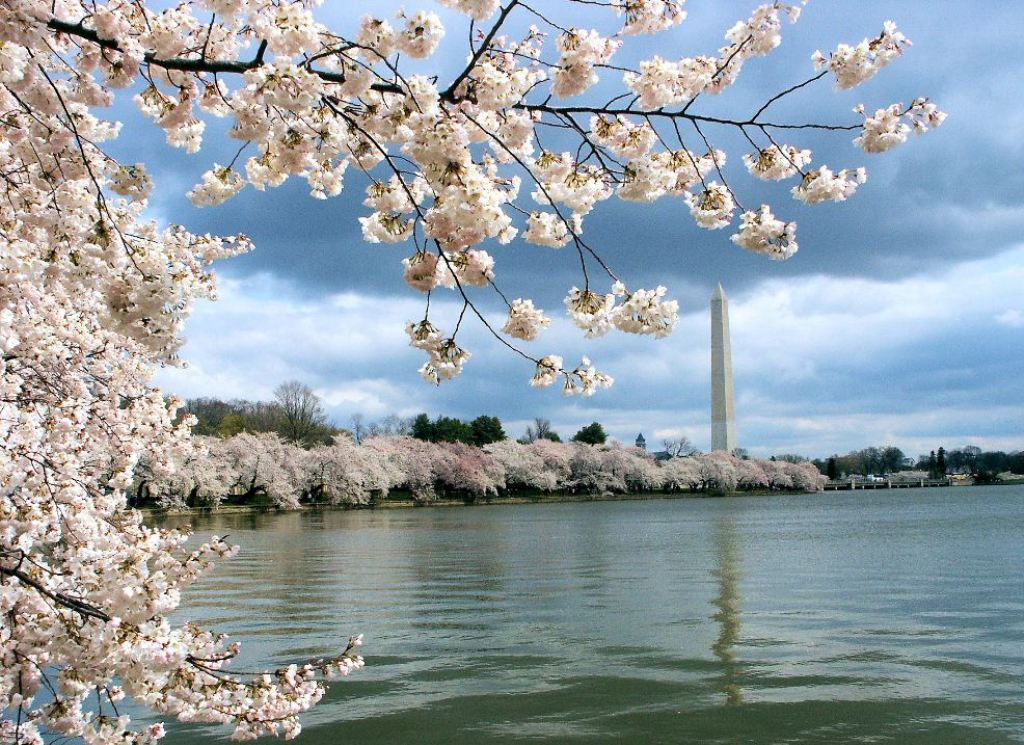 Weekend Reading: April 11