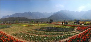 Nobody Puts Kashmir in a Corner