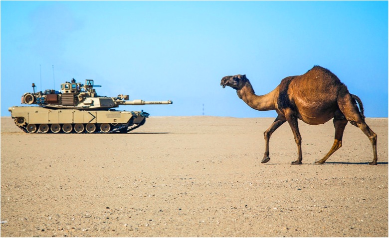Camel Tank