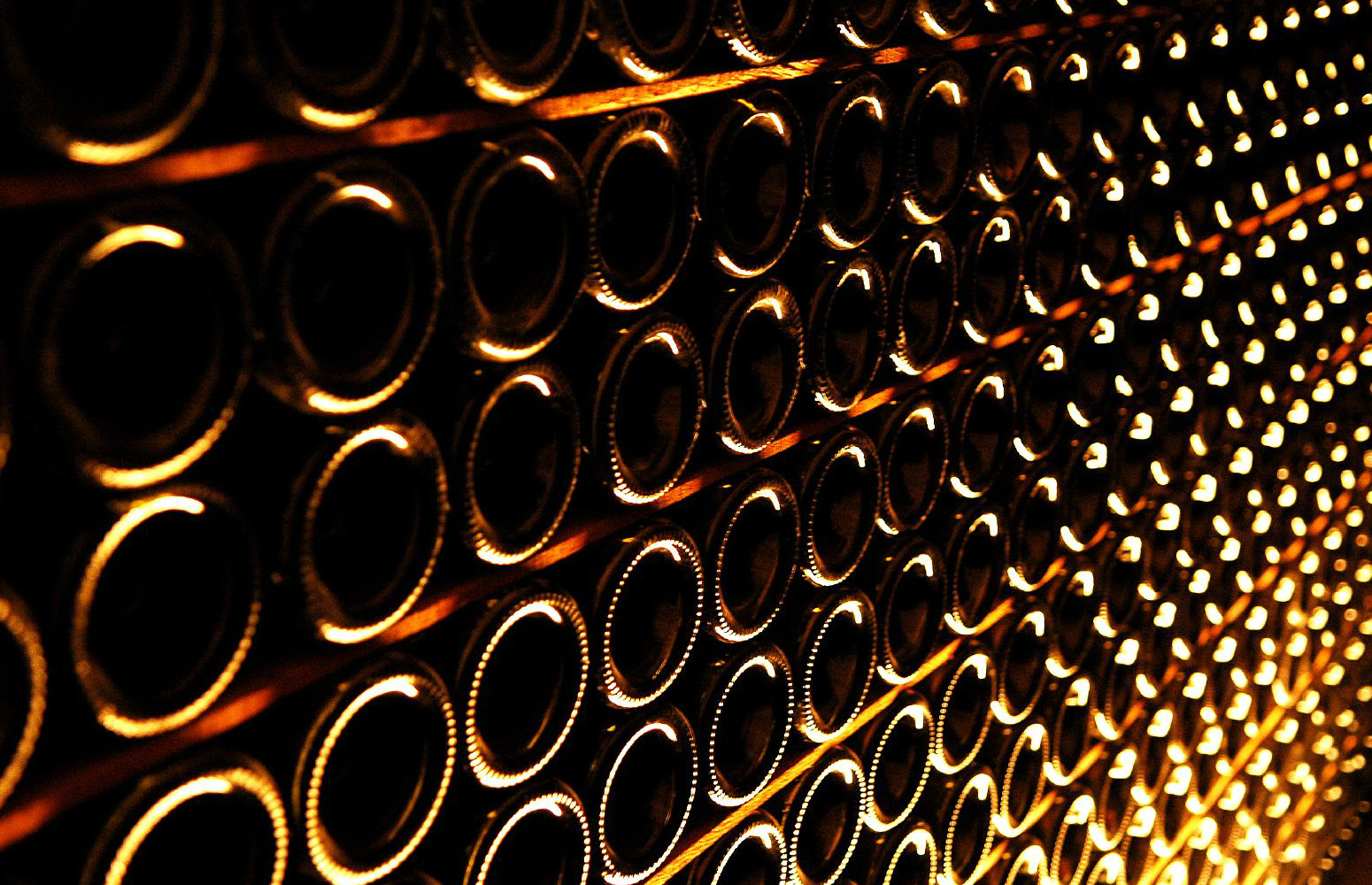 Weekend Reading: 22 August