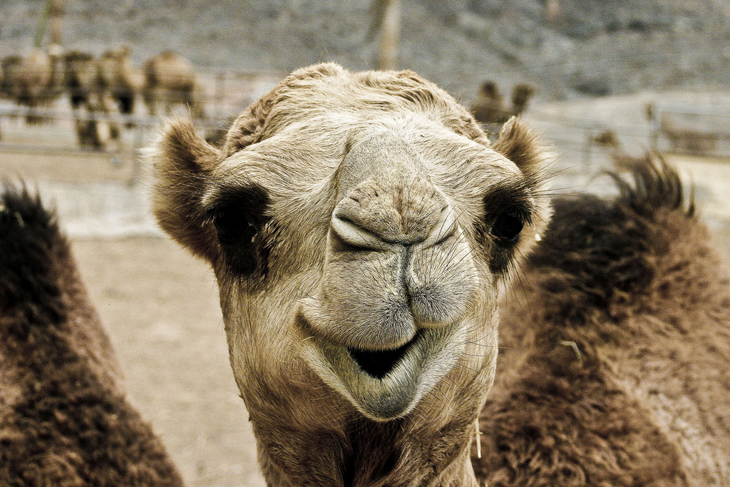 Weekend Reading: 8/8 Edition