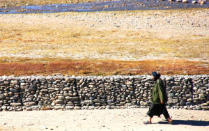 Answering the Pashtun Question