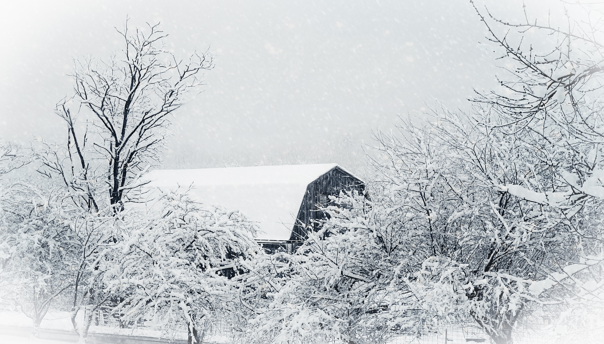 Weekend Reading: December 26-28