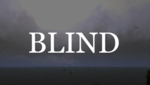 Blind To Our War