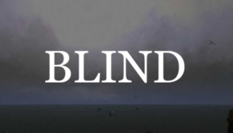 Blind-To-Our-War-e1421953701427-800×457