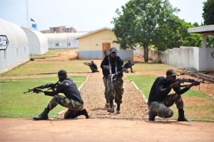 Fight Boko Haram by Aiding Cameroon