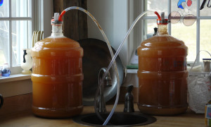 It’s Fall: Time to Make Cider