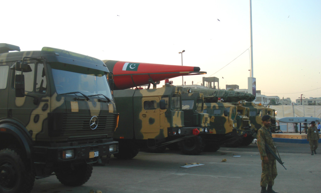 The Pink Flamingo on the Subcontinent: Nuclear War between India and Pakistan