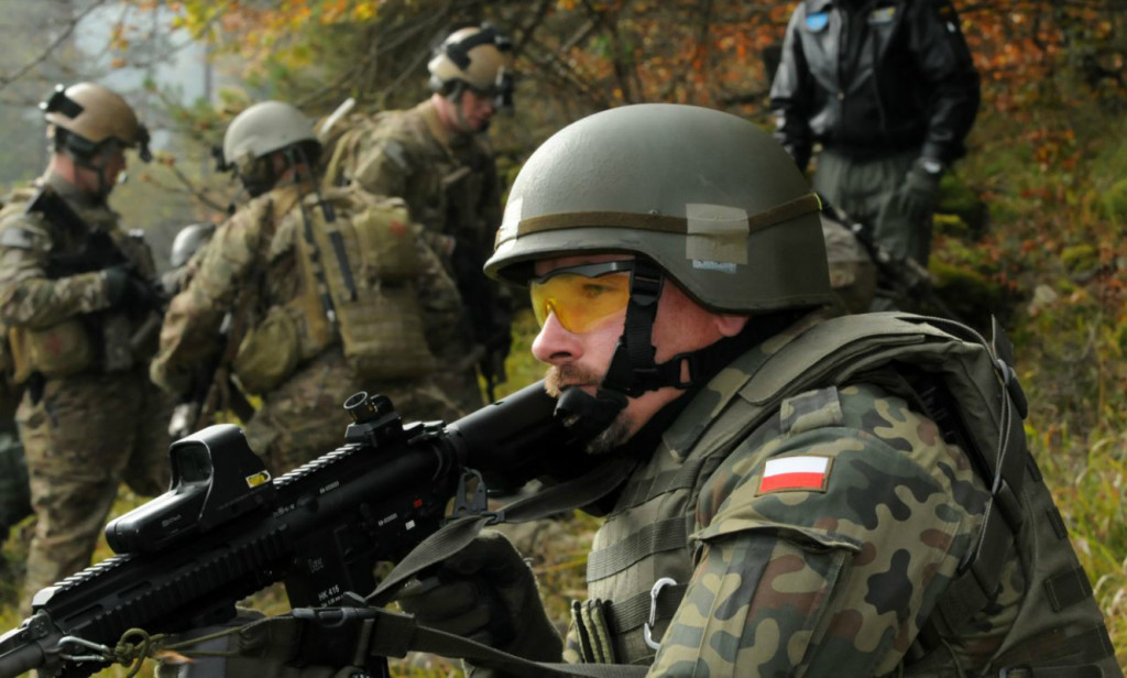 Small States Have Options Too: Competitive Strategies Against Aggressors