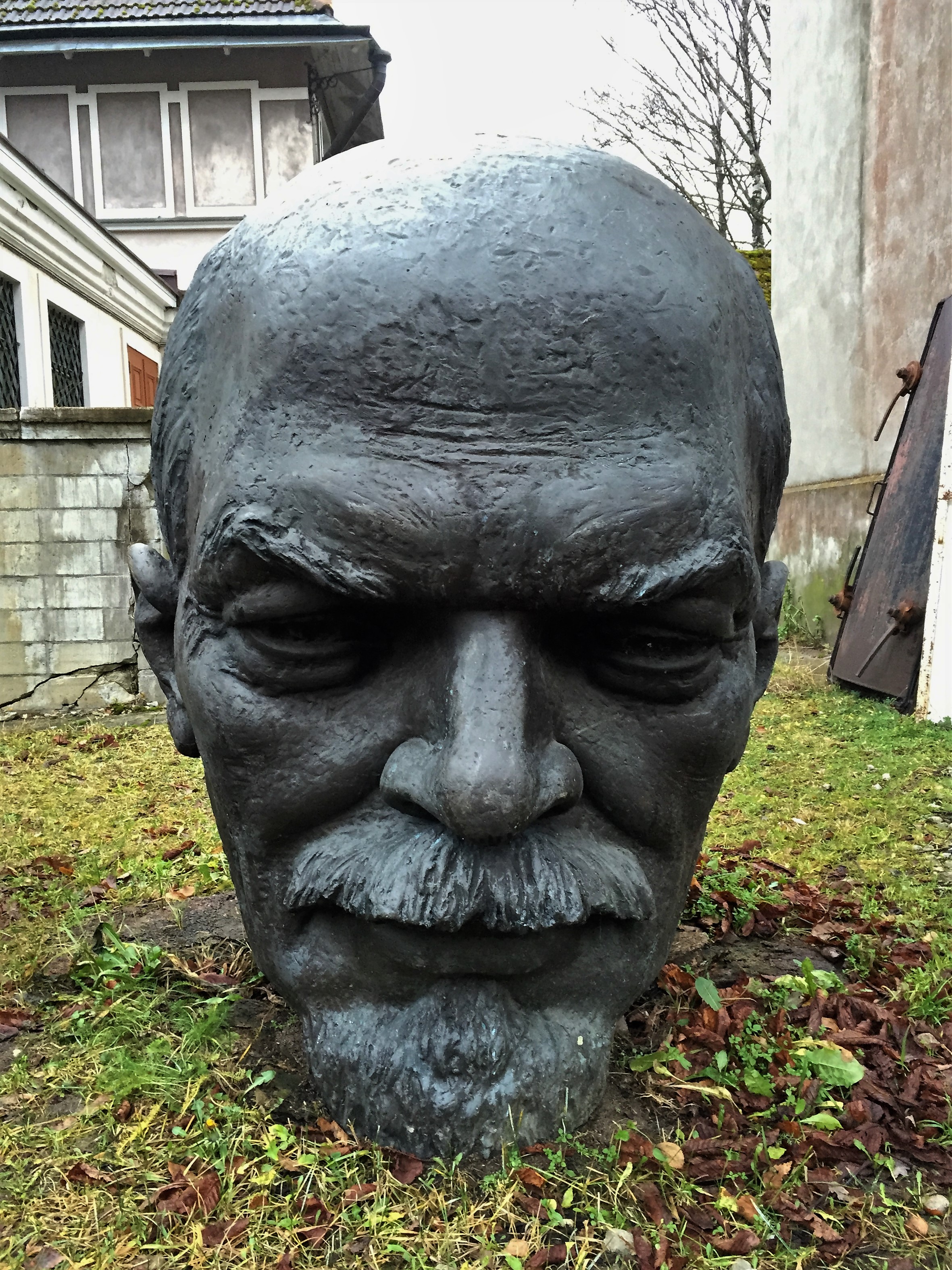 lenins-head-sprouting