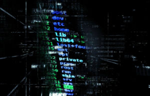 Cyber Officials Need Help, But Are Experts Up to the Task?