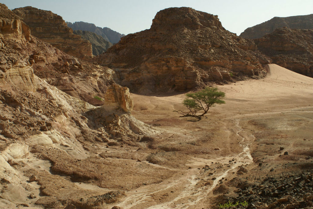 Sinai_Peninsula