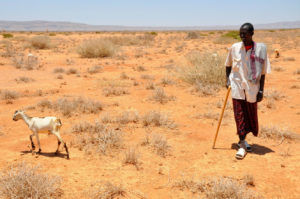 Stretched Thin: When Fragile States Face Climate Hazards