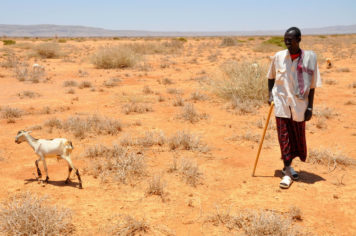 Stretched Thin: When Fragile States Face Climate Hazards
