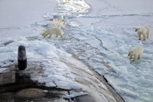 How Not to Compete in the Arctic: The Blurry Lines Between Friend and Foe
