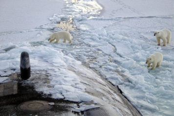 How Not to Compete in the Arctic: The Blurry Lines Between Friend and Foe