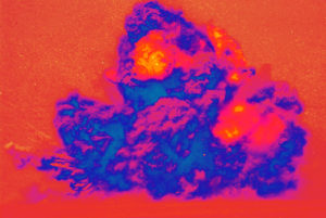 Because We Can Can Can