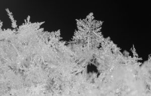 Community, Culture, and of course, Competition: What We Learned from What You Read in 2019