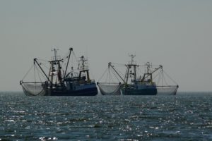The Great Fishing Competition