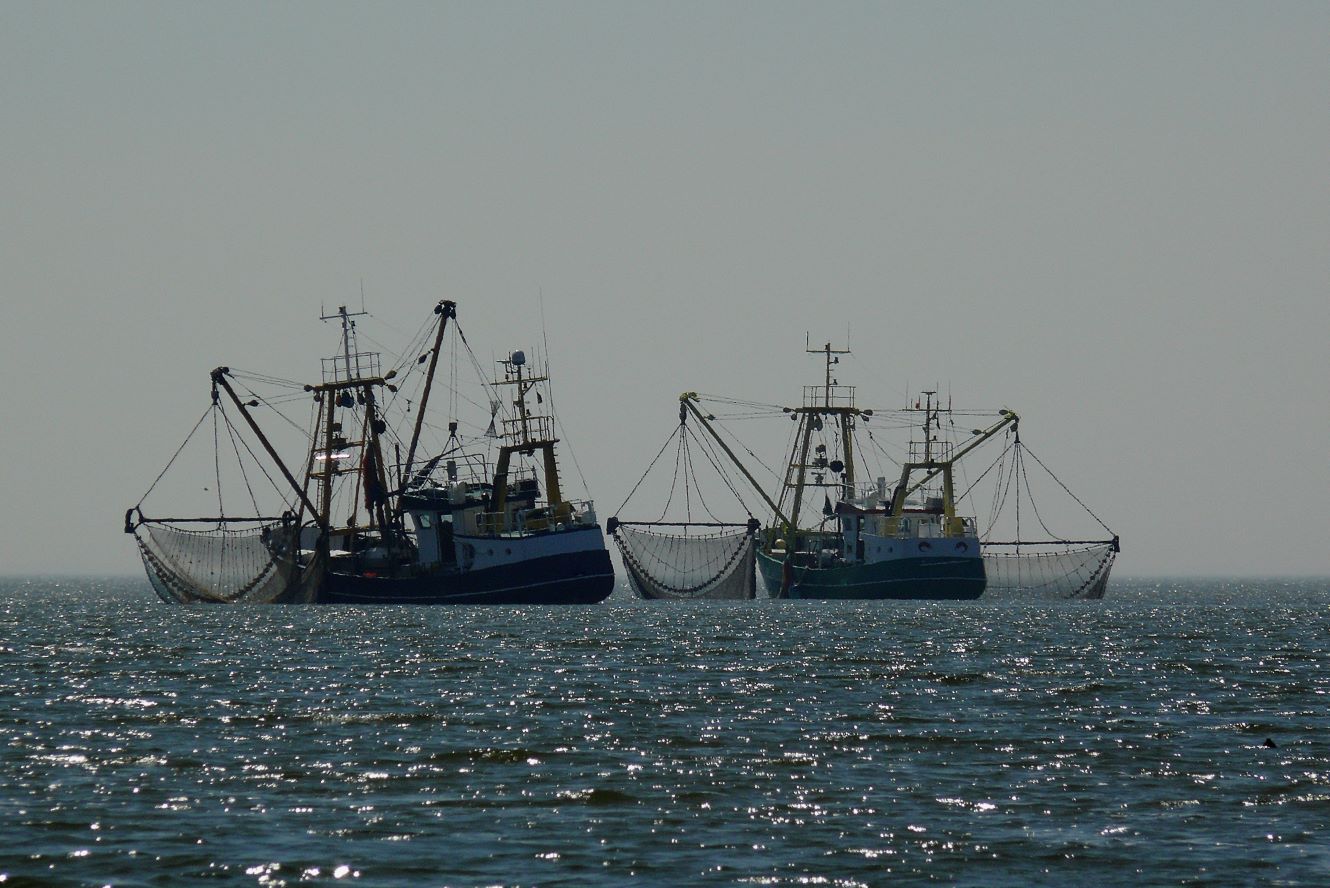 Amazing Commercial Net Fishing By Trawlling On the Big boat. Amazing Big  Catching Fish in The Sea #2 