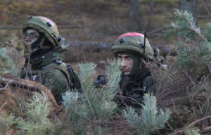 For Baltic Defense, Forget the ‘Forest Brothers’