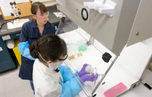 AI and Synthetic Biology Are Critical to Future U.S. Competitiveness