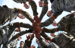 More Than a Buzzword: Diversity Can Help Defeat Disinformation