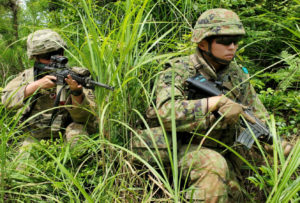 Security and Insecurity in the Indo-Pacific