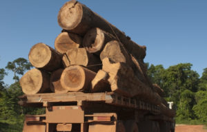 Al-Shabaab and Chinese Trade Practices in Mozambique