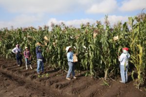 To Tackle Instability and Conflict, It’s Time to Elevate Hunger as a National Security Priority