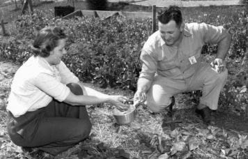 Reviving the Victory Garden: The Military Benefits of Sustainable Farming