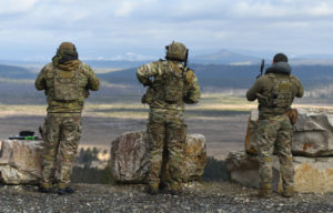 From Bombs to Bits: Air-to-Ground Operations as a Model for the Tactical Information Environment