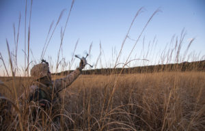 Insights for Marine (and Beyond) Force Design from the Russo-Ukrainian War