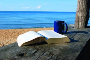 Strategic Outpost’s Seventh Annual Summer Vacation Reading List