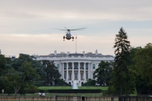 Transition in a Time of Transition