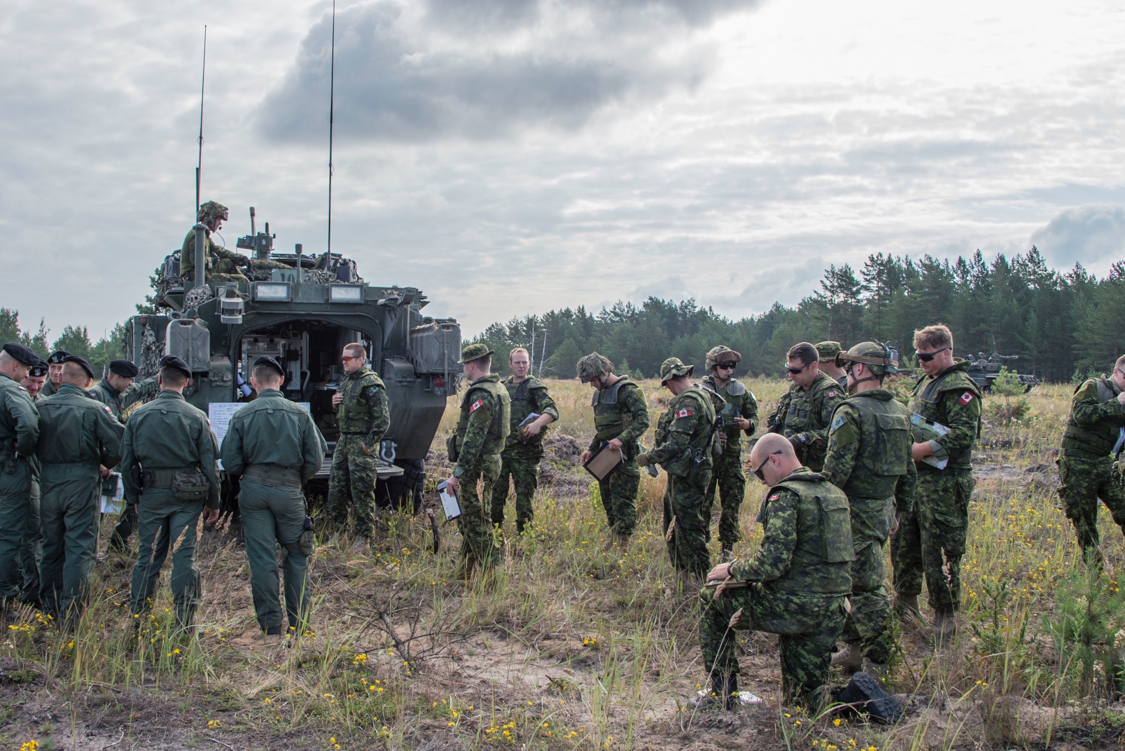 Canadian troops train in Poland