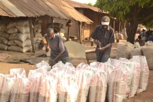 Tariffs Create Markets — Just Not the Ones Policymakers Want