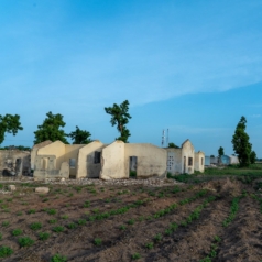 Increasing Insecurity in Nigeria