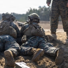 Staying Steady in the Storm